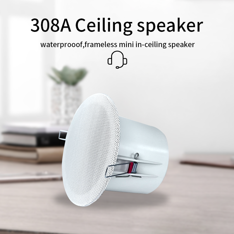 Audio Music Sound - 서라운드 사운드 스피커 시스템, 천장 라우드
