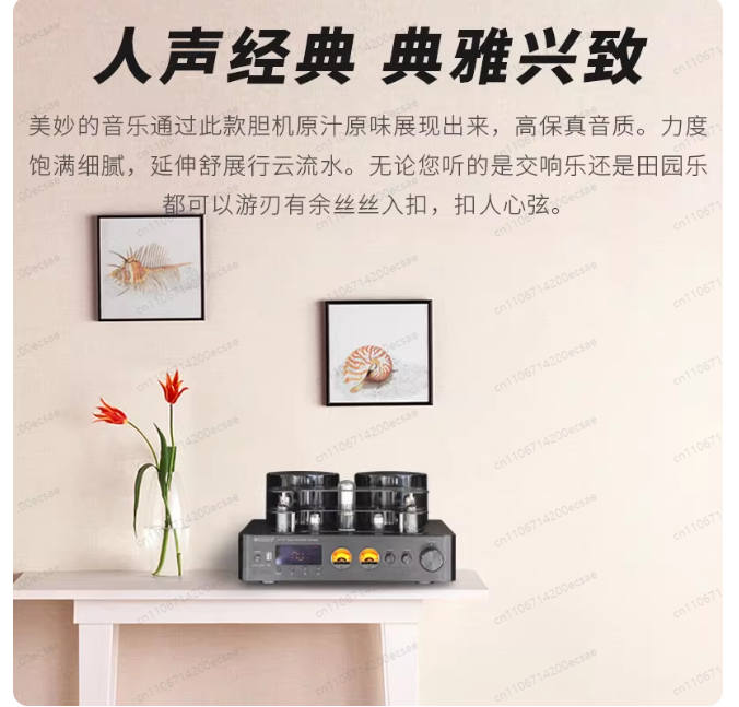 220V 400W * 2 고음질 무선 진공관 파워 앰프 - Audio Music In Youtube 리뷰 및 가격